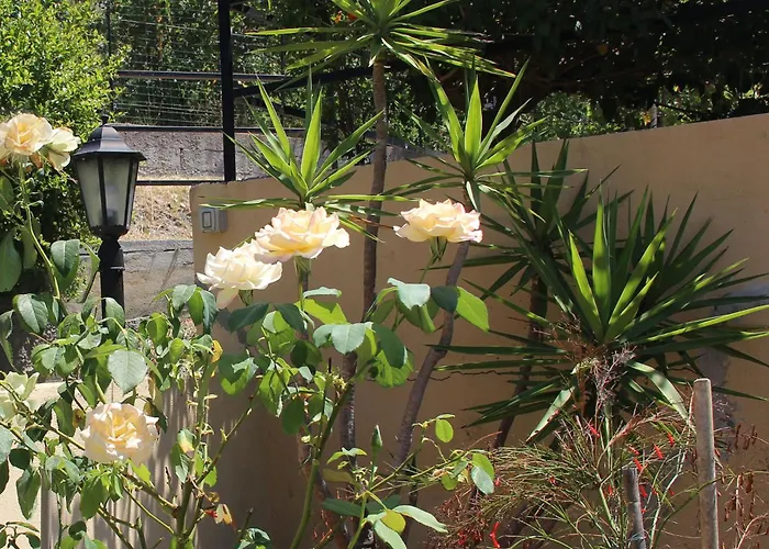 I Registi * סקליאה